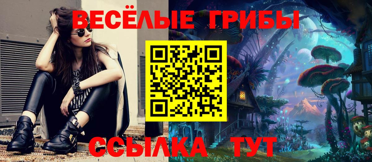 Псилоцибиновые грибы мицелий  Вход с VPN  Галлюциногенные грибы мицелий  Нерюнгри 